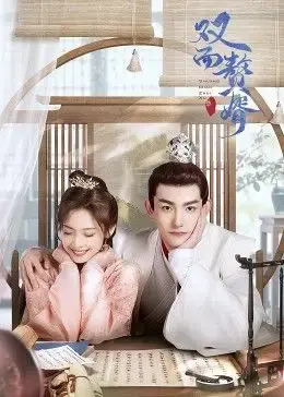 《双面赘婿 第二季》强势来袭！看废柴赘婿如何玩转权谋，逆袭人生巅峰！