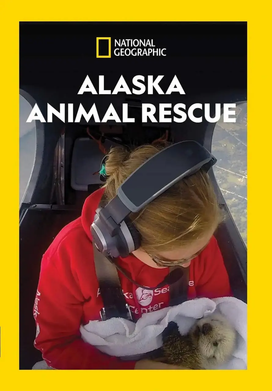 《阿拉斯加野生动物救援 第一季》：走进冰雪世界，感受生命的坚韧与美好